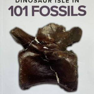 Dinosaur Isle in 101 Fossils